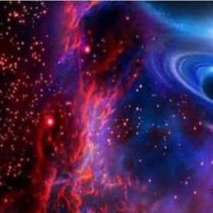 Meet your Posher, Eva